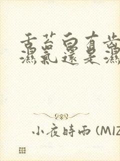 舌苔白有齿痕是湿气还是湿热