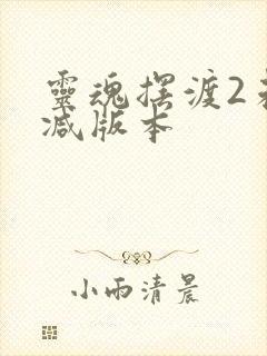 灵魂摆渡2未删减版本封面