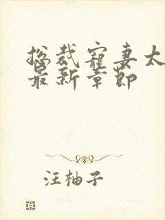 总裁宠妻太给力最新章节