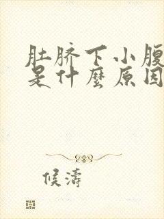 肚脐下小腹疼痛是什么原因