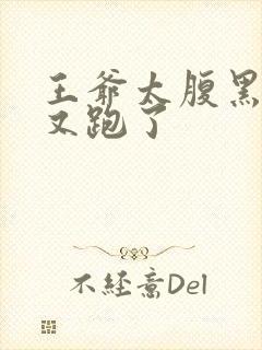 王爷太腹黑王妃又跑了