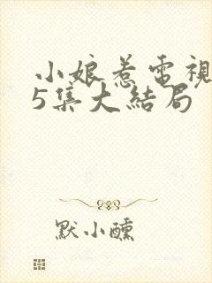 小娘惹电视剧45集大结局