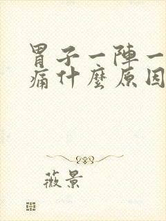 胃子一阵一阵绞痛什么原因