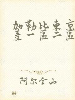 加勒比东京热国产一区二区