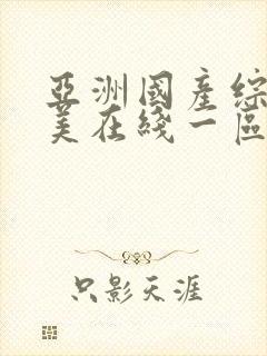 亚洲国产综合欧美在线一区二区