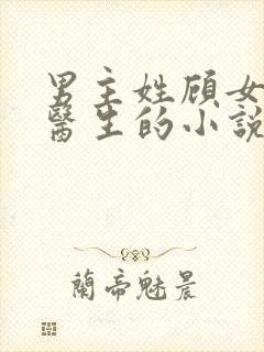 男主姓顾女主是医生的小说封面