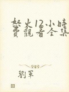 怒火12小时免费观看全集