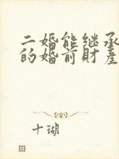 二婚能继承丈夫的婚前财产吗