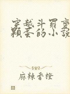 穿越斗罗变成一颗蛋的小说