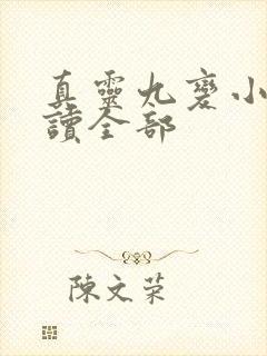 真灵九变小说阅读全部封面