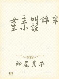 女主叫锦宁的重生小说