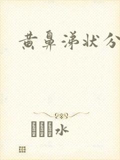 黄鼻涕状分泌物