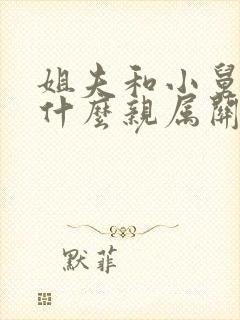 姐夫和小舅子是什么亲属关系