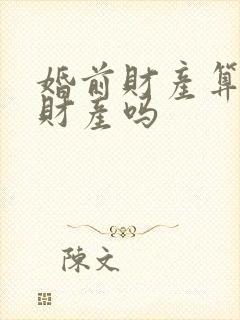 婚前财产算共同财产吗