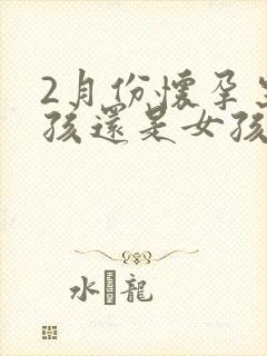 2月份怀孕生男孩还是女孩几率大封面