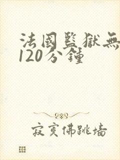 法国监狱无删减120分钟