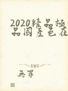 2020精品极品国产色在线不卡