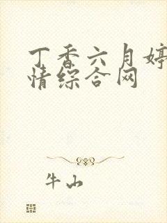 丁香六月婷婷激情综合网