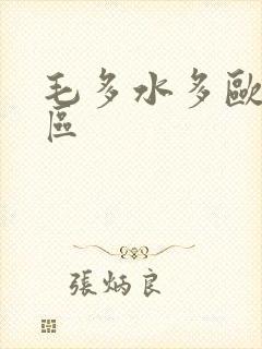 毛多水多欧美一区封面