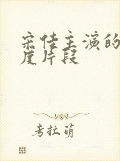 宋佳主演的大尺度片段