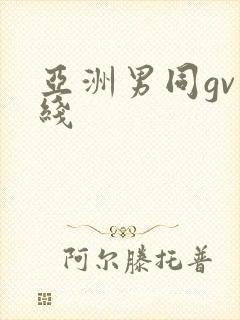 亚洲男同gv在线