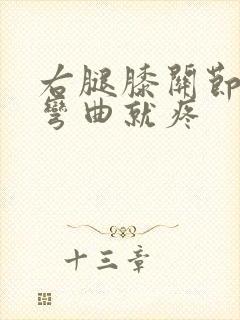 右腿膝关节右侧弯曲就疼