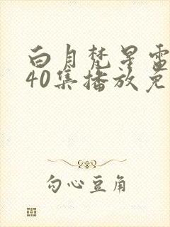 白月梵星电视剧40集播放免费完整版