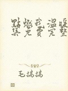 点燃我温暖你全集免费完整版38集