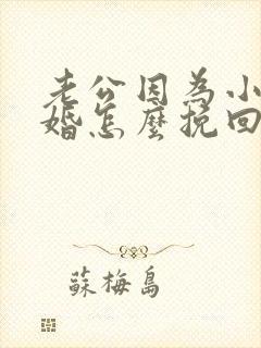 老公因为小三离婚怎么挽回