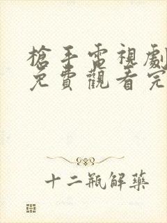 枪手电视剧全集免费观看完整版