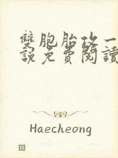 双胞胎攻一受小说免费阅读封面