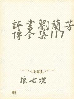 评书刘兰芳岳飞传全集117