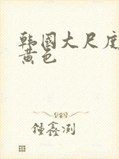 韩国大尺度电影黄色