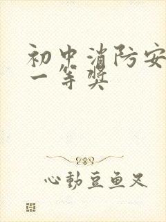 初中消防安全画一等奖