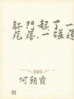 肛门起了一个硬疙瘩,一碰还疼封面