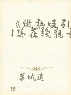 《炽热吸引》11集在线观看