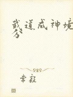 武道成神境界划分