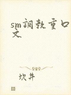 sm调教重口h文