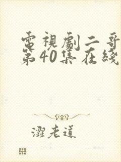 电视剧二哥二嫂第40集在线看