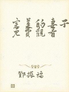 完美的妻子在线免费观看封面