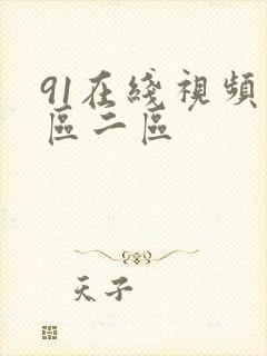 91在线视频一区二区