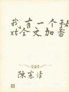 我有一个秘密txt全文加番外