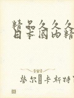 精品久久久综合日本国内精品久久