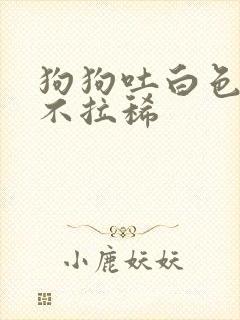 狗狗吐白色粘液不拉稀