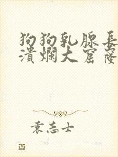 狗狗乳腺长有瘤溃烂大窟窿