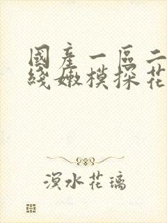 国产一区二区在线嫩模探花