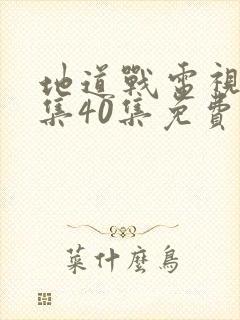 地道战电视剧全集40集免费观看