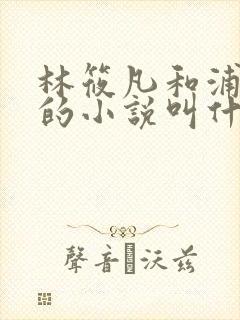 林筱凡和浦应辛的小说叫什么名字