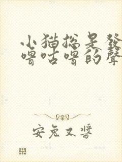 小猫总是发出咕噜咕噜的声音