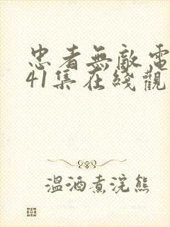 忠者无敌电视剧41集在线观看免费